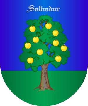 ESCUDO PRECEDENTE